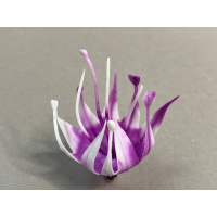 тыч колокольчика 75.012